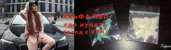 spice Снежногорск
